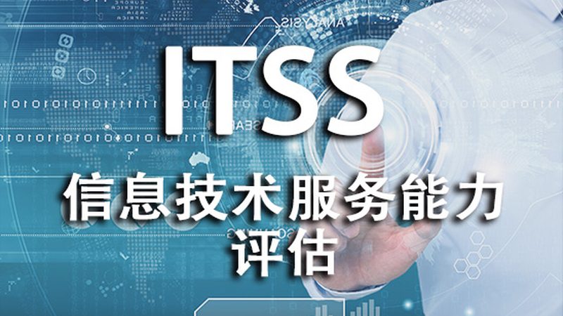 IT运维系统定制开发：揭秘定制化背后的关键要素
