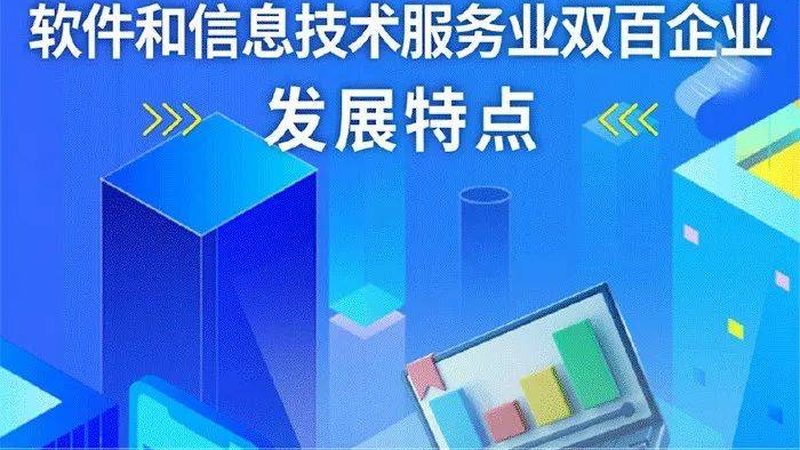 软件开发服务项目价格